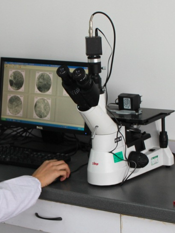 Metallographic Analysis